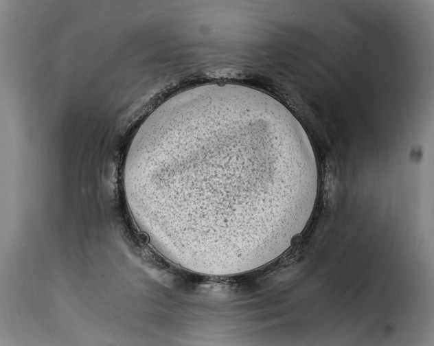 X0000115280211200911201759