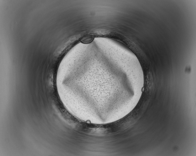 X0000115280212200911201759