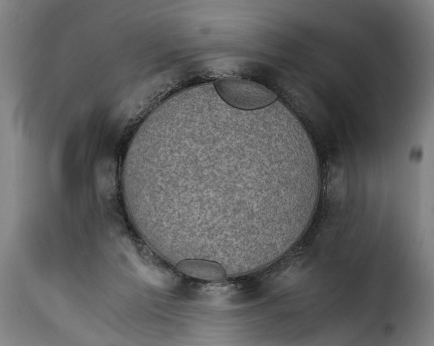 X0000115280213200911201759