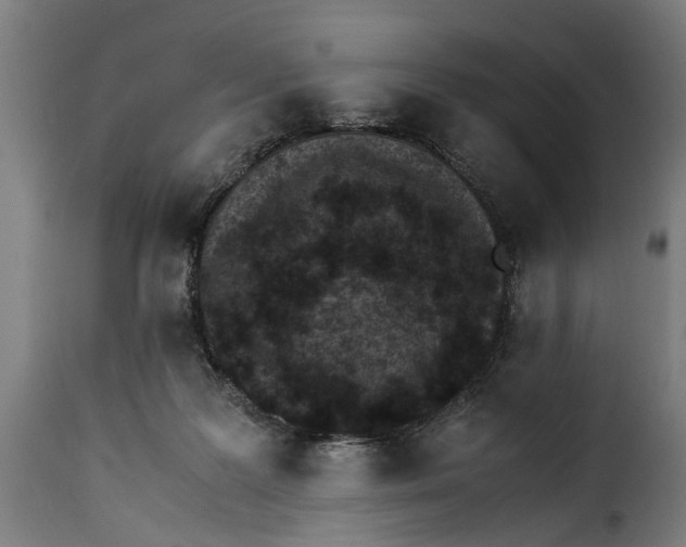 X0000115280219200911201759