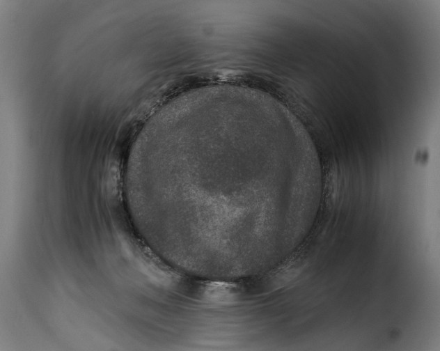 X0000115280222200911201759