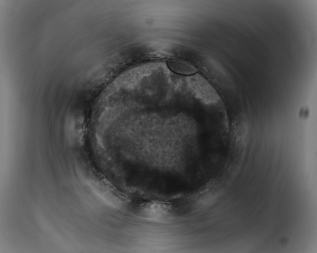 X0000115280223200911201759