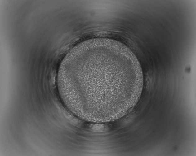 X0000115280230200911201759