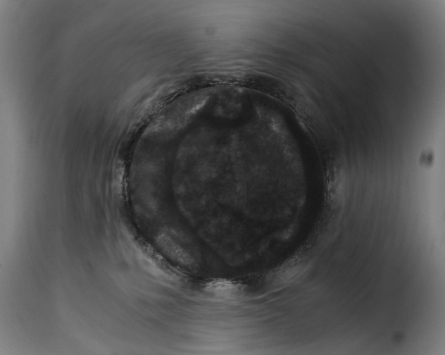 X0000115280231200911201759