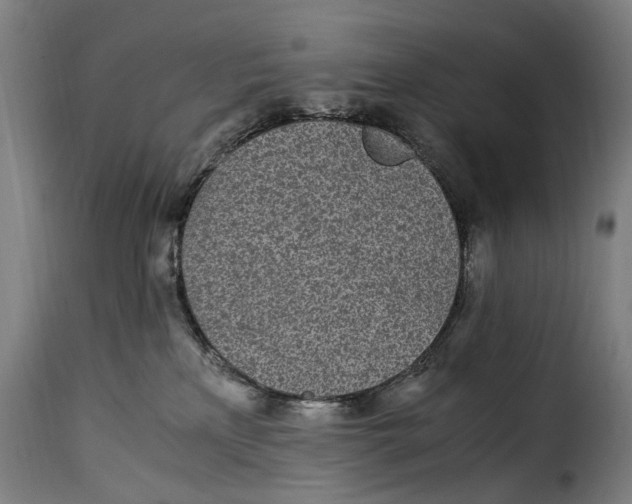 X0000115280233200911201759