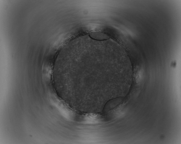 X0000115280235200911201759