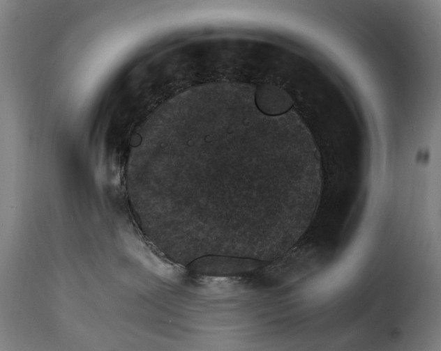 X0000115280239200911201759