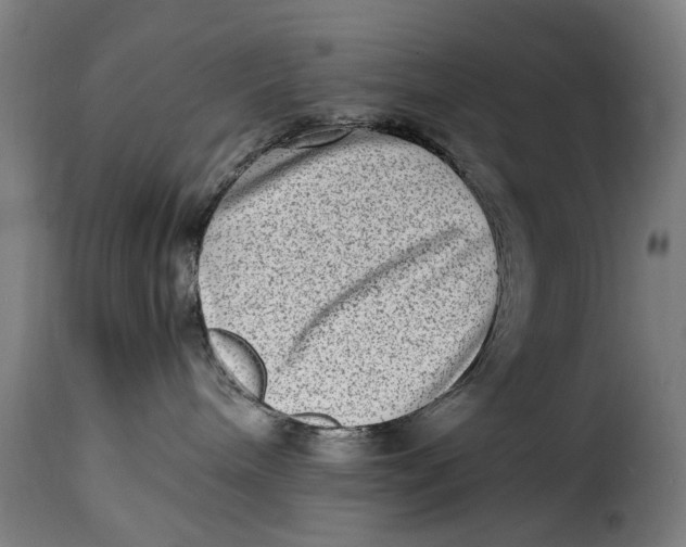 X0000115280240200911201759