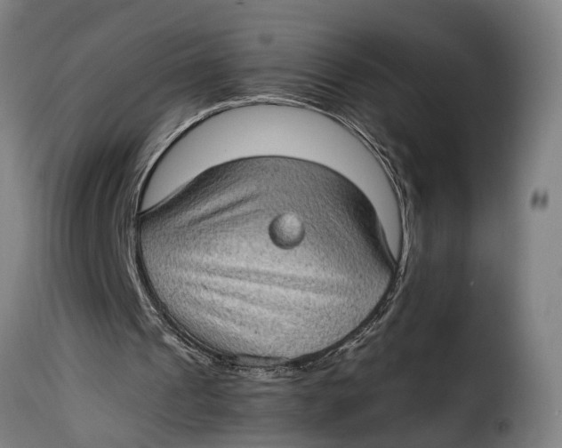 X0000115280241200911201758