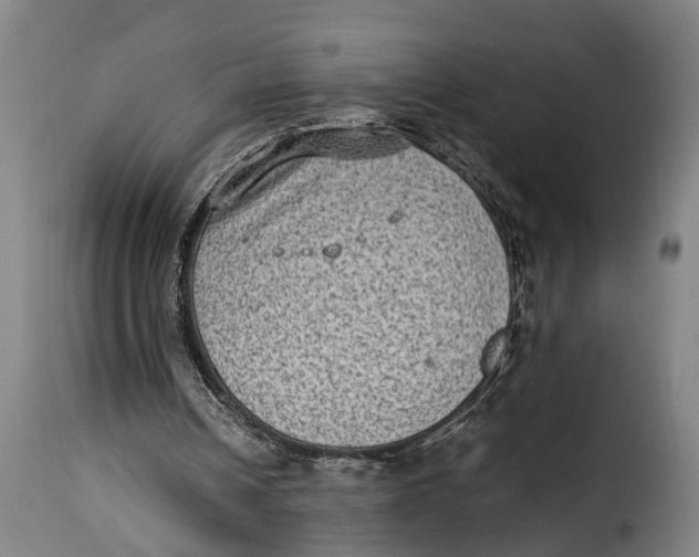 X0000115280242200911201758