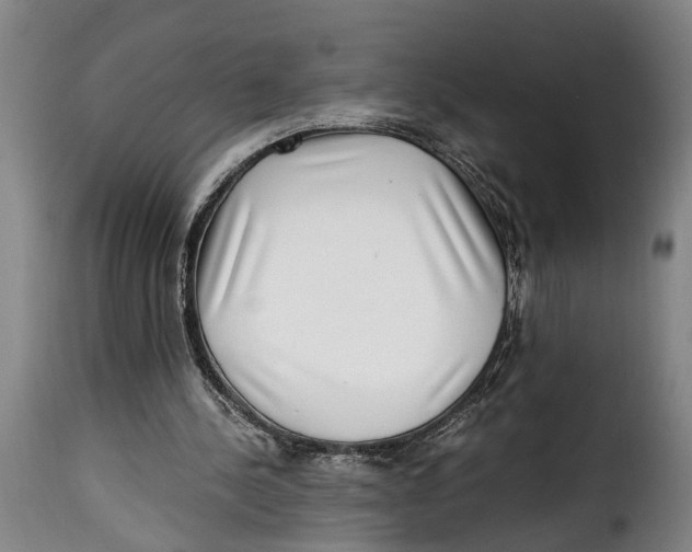 X0000115280244200911201758