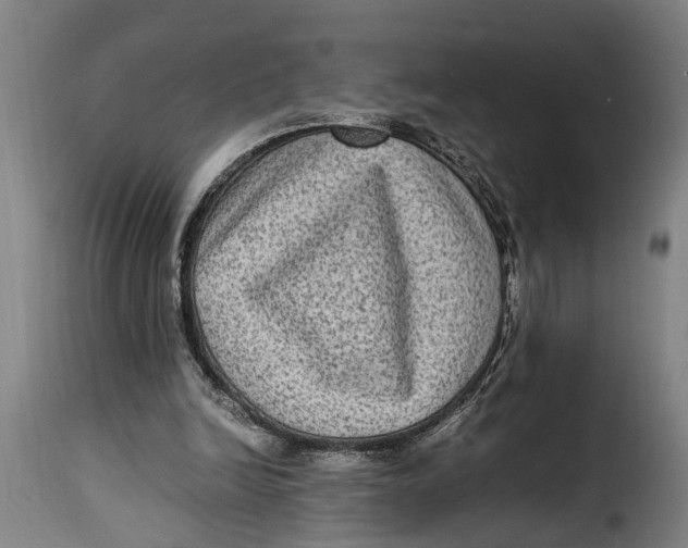 X0000115280246200911201758