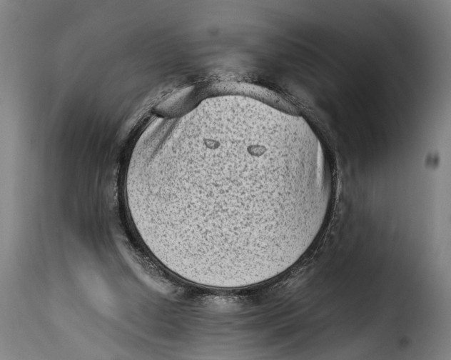 X0000115280250200911201758