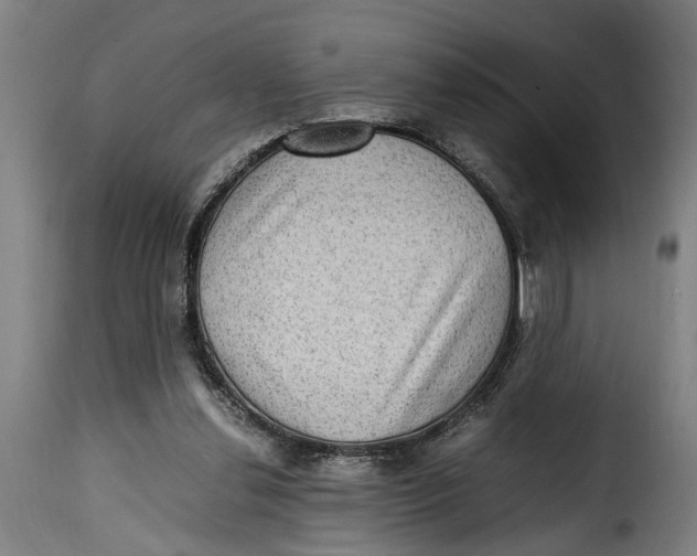 X0000115280252200911201758