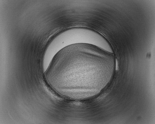 X0000115280253200911201758