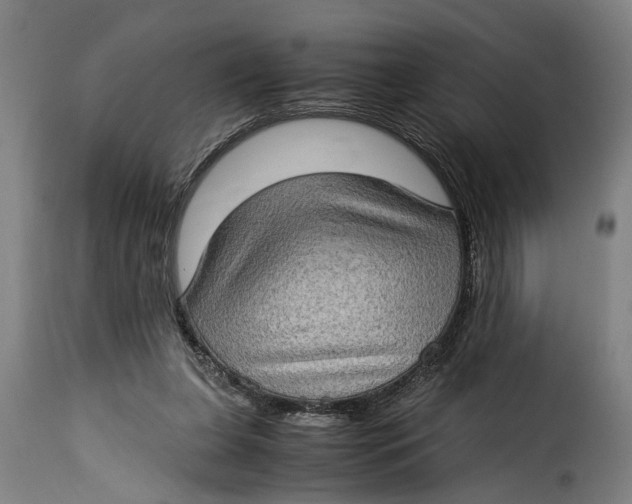 X0000115280255200911201758