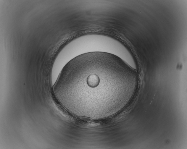 X0000115280257200911201758