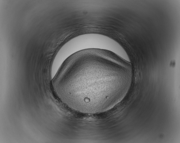 X0000115280259200911201758