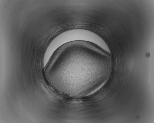 X0000115280263200911201758