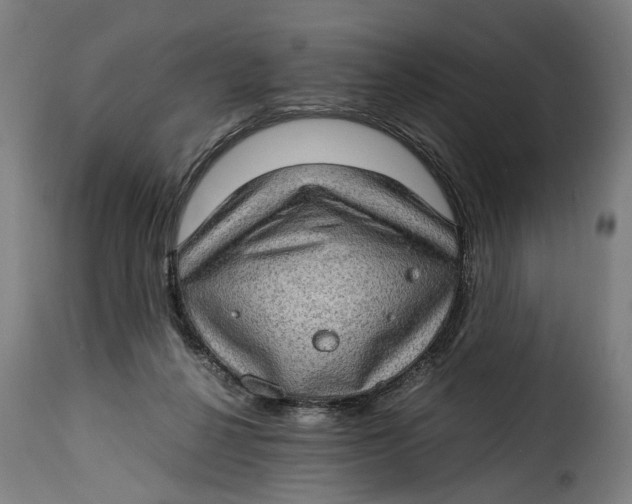 X0000115280264200911201758