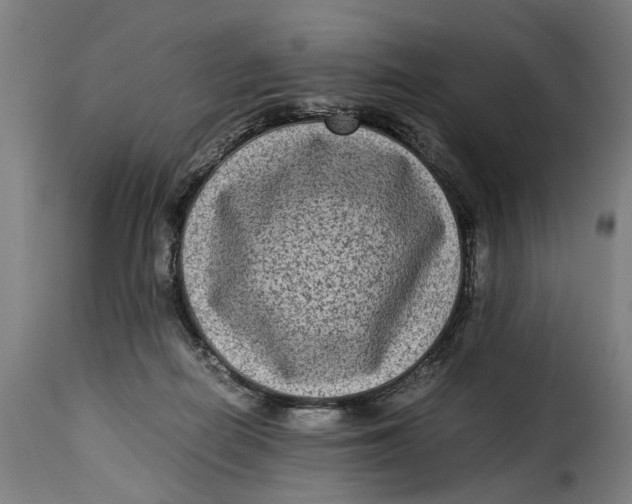 X0000115280266200911201759