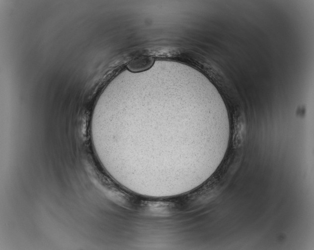 X0000115280268200911201759