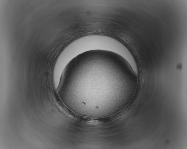 X0000115280269200911201759