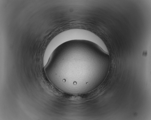 X0000115280271200911201759