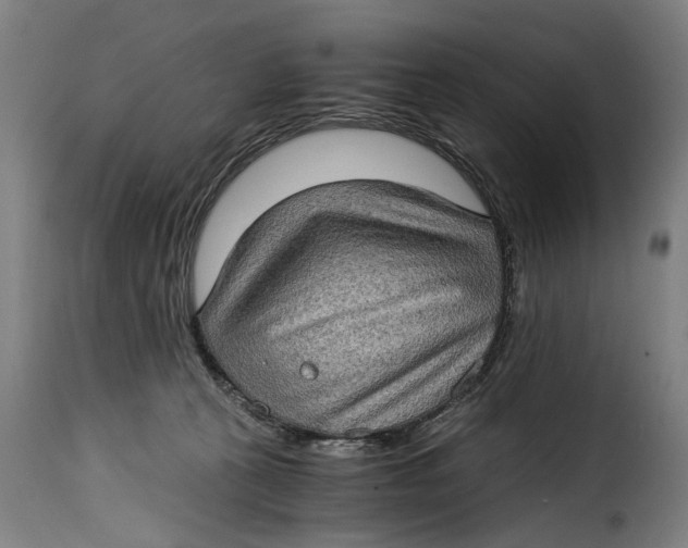 X0000115280273200911201759