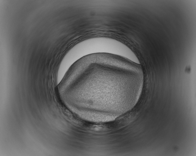 X0000115280275200911201759