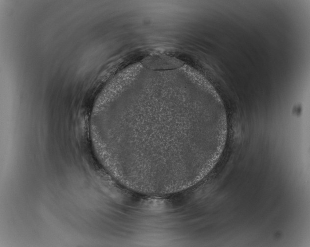 X0000115280276200911201759