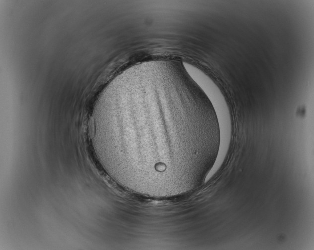 X0000115280277200911201759