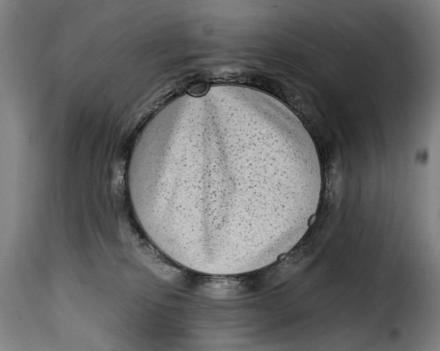 X0000115280278200911201759