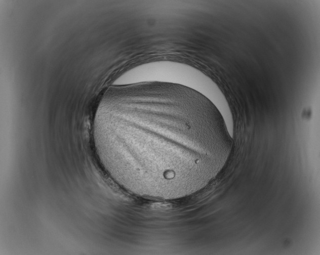 X0000115280279200911201759