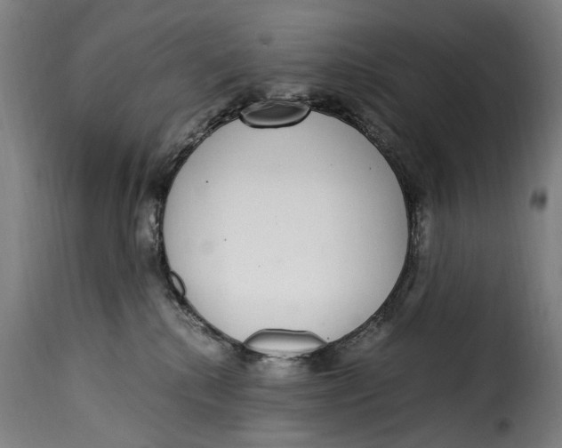 X0000115280280200911201759