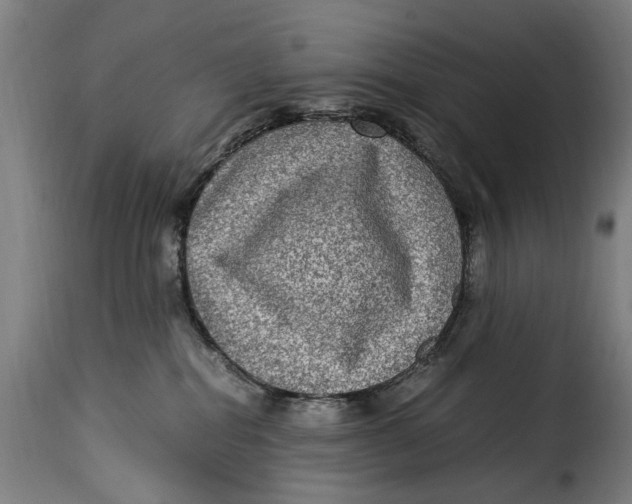 X0000115280282200911201759