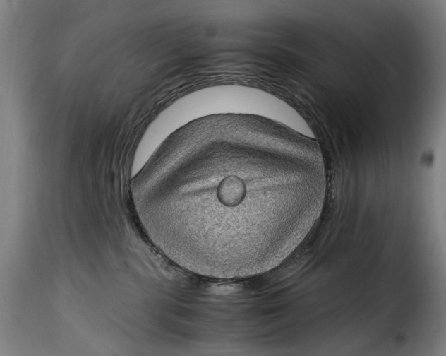 X0000115280283200911201759