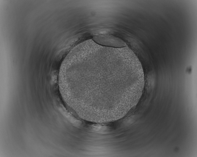 X0000115280284200911201759