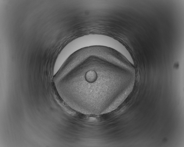 X0000115280285200911201759