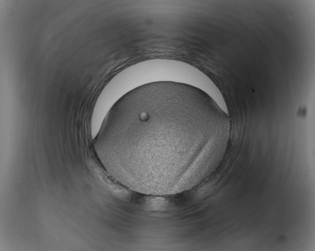 X0000115280287200911201759