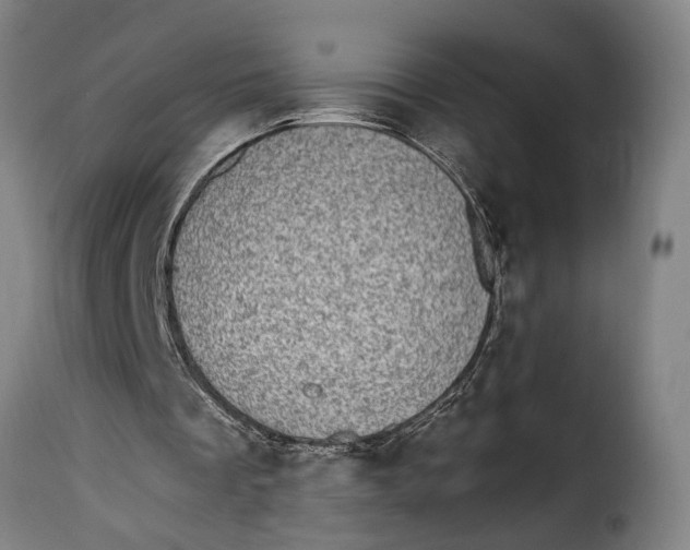 X0000115280289200911201758