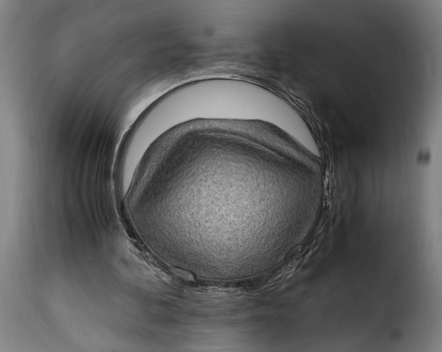 X0000115280292200911201758