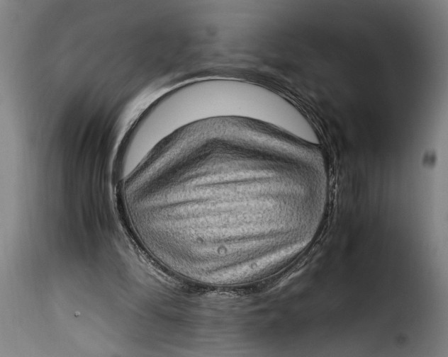 X0000115280294200911201758