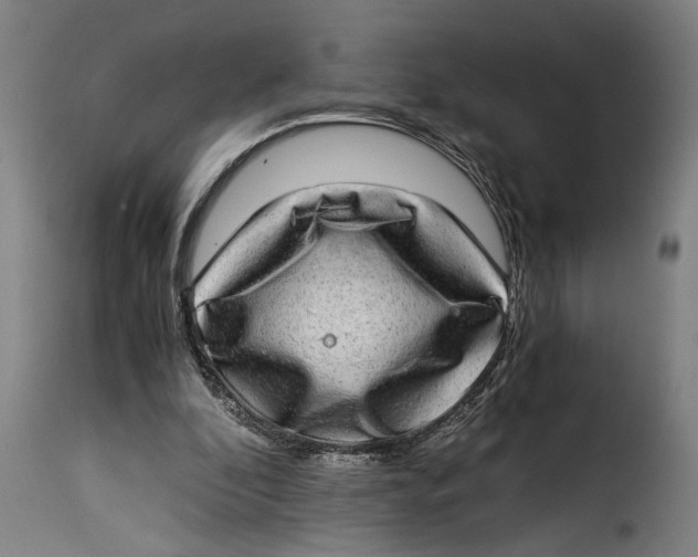 X0000115280296200911201758