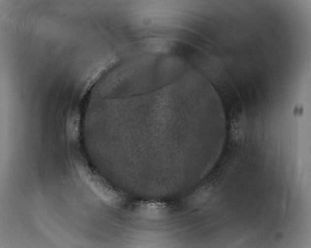 X0000115280304200911201758