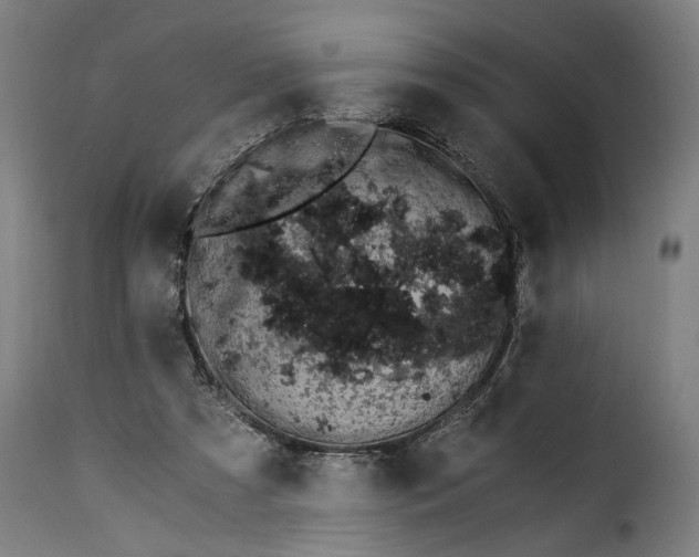 X0000115280305200911201758