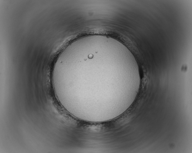 X0000115280306200911201758