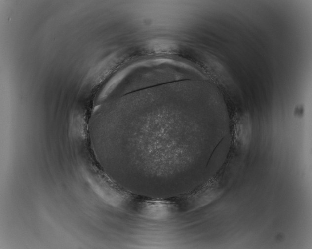 X0000115280316200911201758