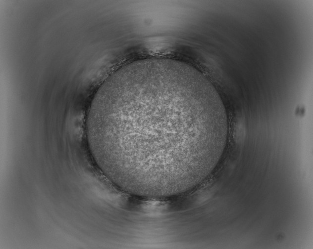 X0000115280319200911201758