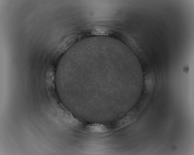 X0000115280322200911201758